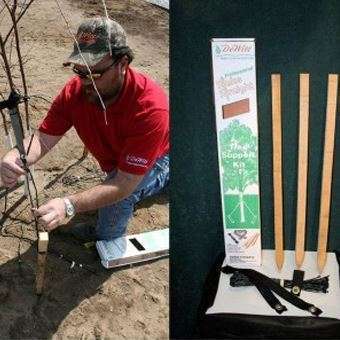 tree-stake-2qY